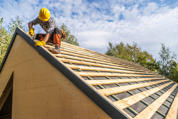 Best Metal Roofing Contractor  in Cridersville, OH